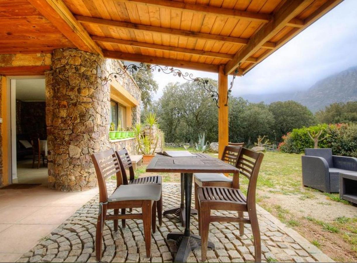 Studio Confortable Avec Vue Sur La Montagne A Moltifao 30M² Jardin Buitenkant foto