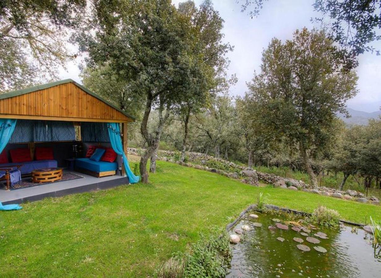 Studio Confortable Avec Vue Sur La Montagne A Moltifao 30M² Jardin Buitenkant foto