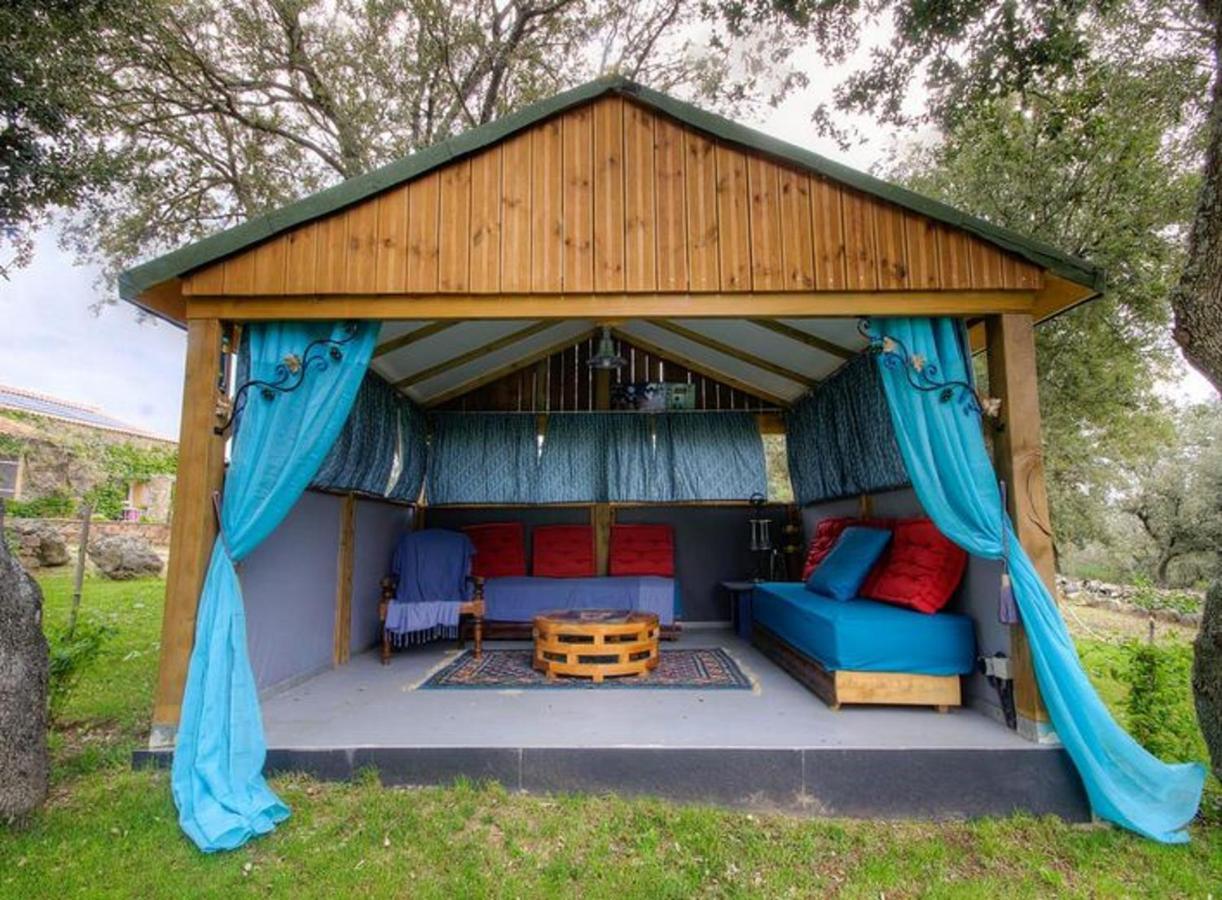 Studio Confortable Avec Vue Sur La Montagne A Moltifao 30M² Jardin Buitenkant foto
