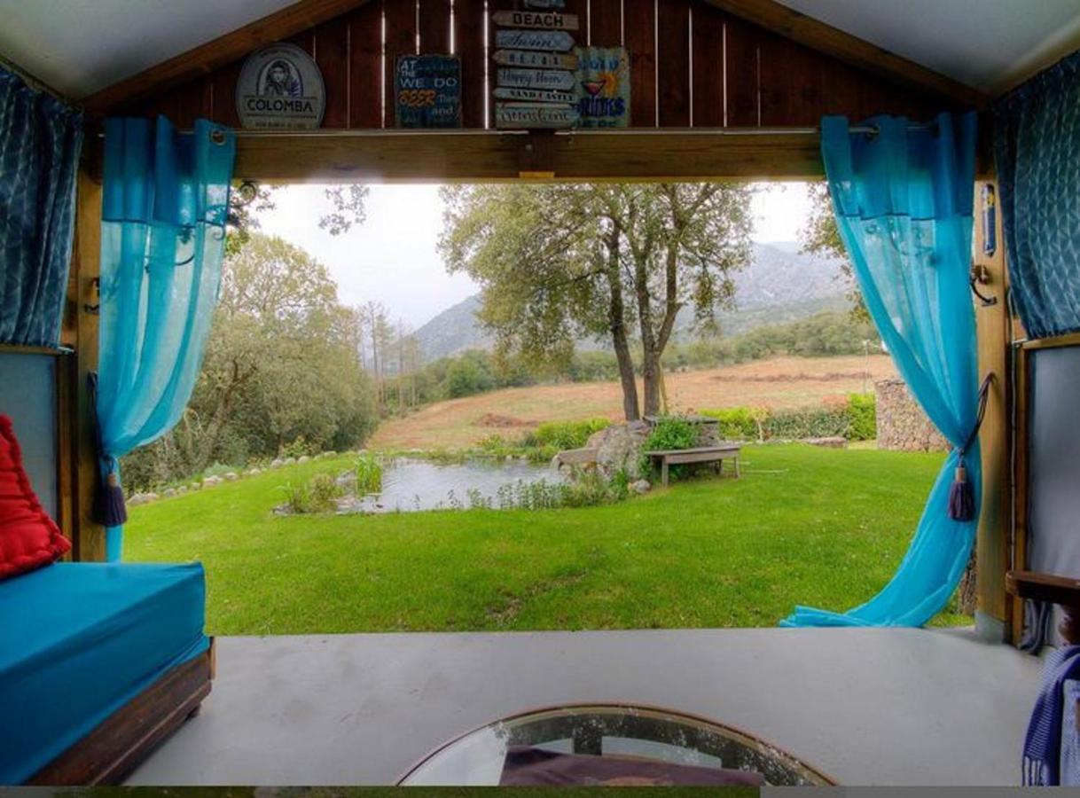 Studio Confortable Avec Vue Sur La Montagne A Moltifao 30M² Jardin Buitenkant foto