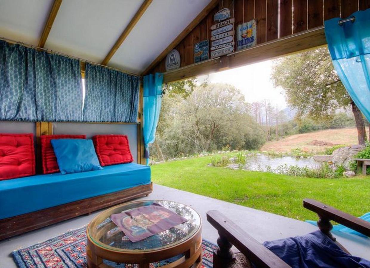 Studio Confortable Avec Vue Sur La Montagne A Moltifao 30M² Jardin Buitenkant foto