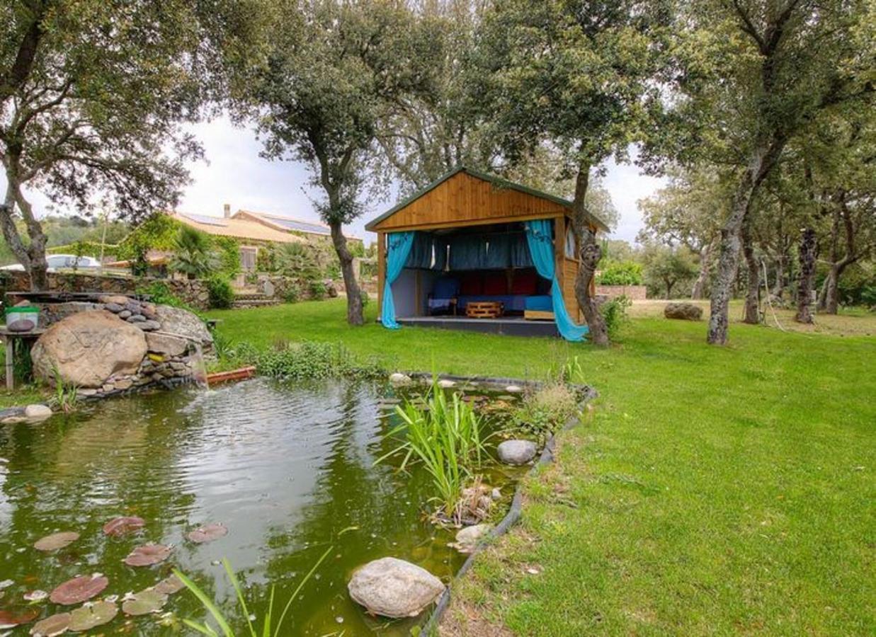 Studio Confortable Avec Vue Sur La Montagne A Moltifao 30M² Jardin Buitenkant foto